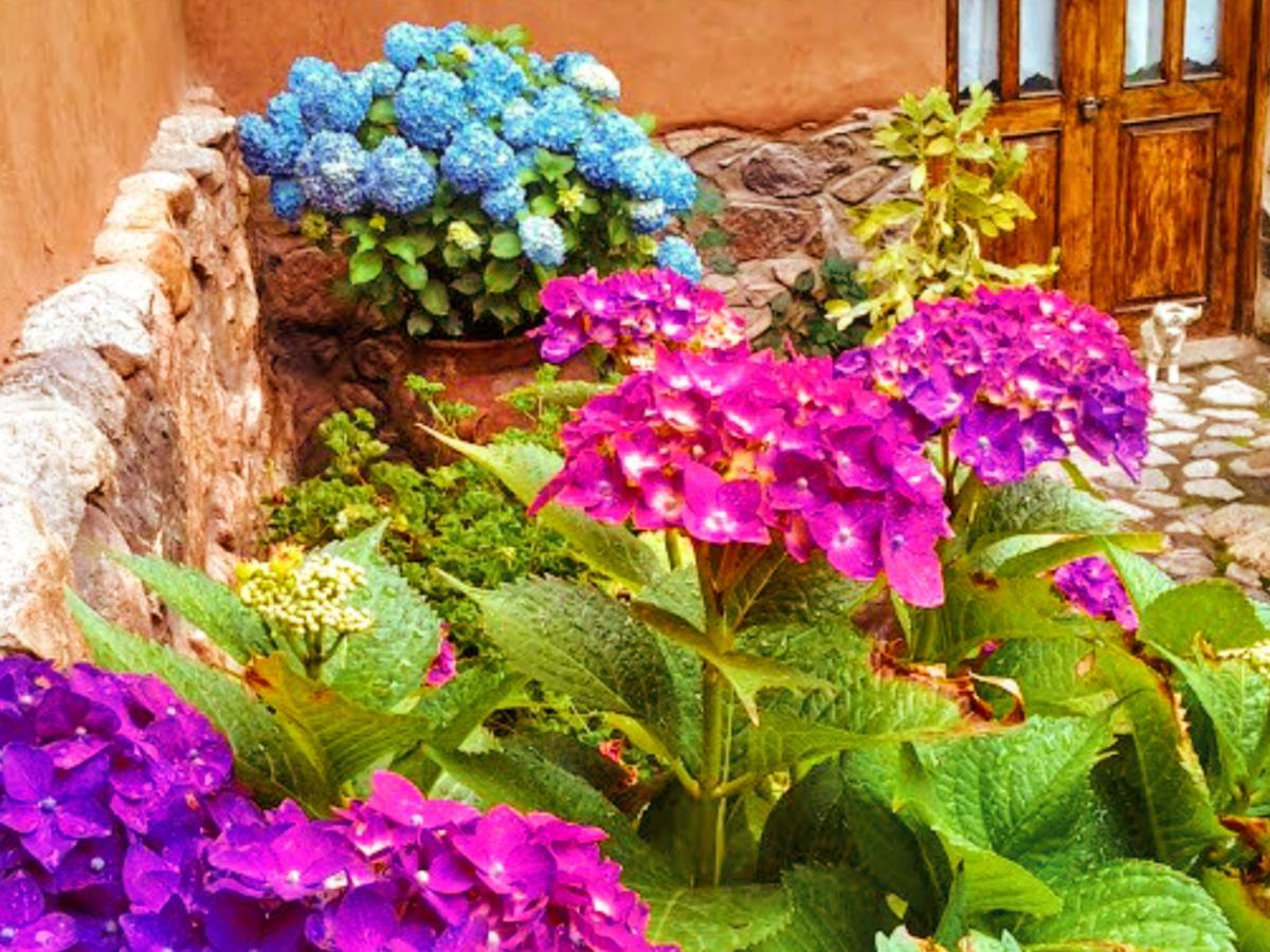 Lizzy Wasi Urubamba Hotel Kültér fotó